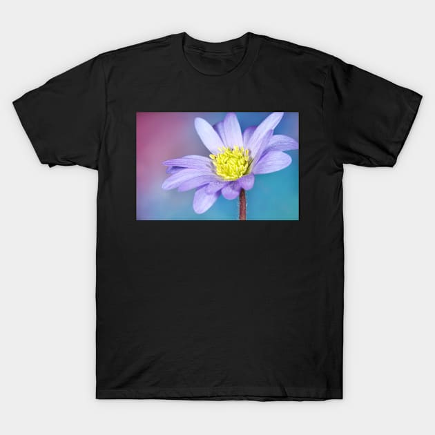 Joy of Spring T-Shirt by SharonJ